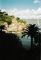 Portofino, fuky en fond avec un palmier.jpg